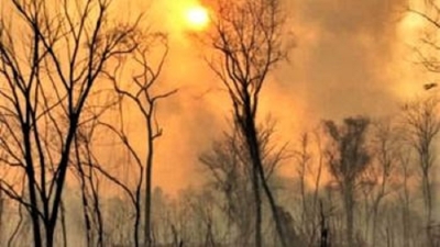 COEI: incendios forestales en Yuto y Caimancito