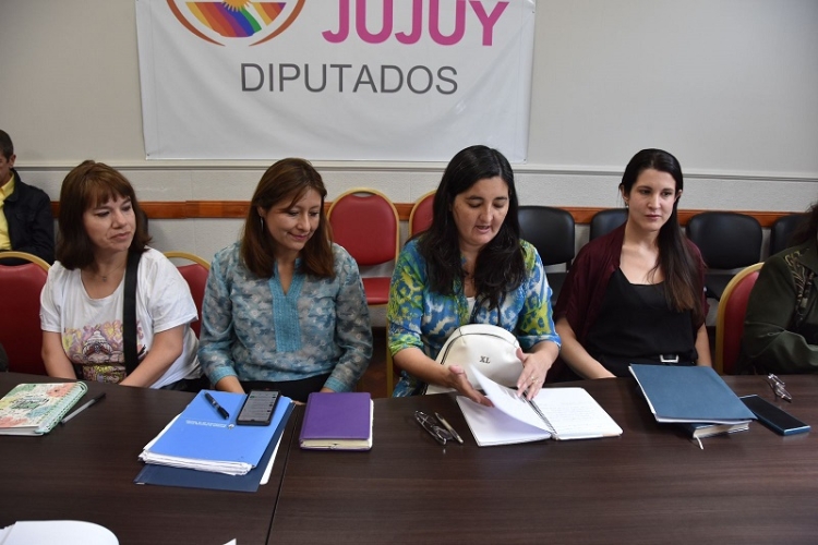Diputados avanzan en el tratamiento del proyecto de Capacitaci&oacute;n Obligatoria en Materia de Perspectiva de Discapacidad