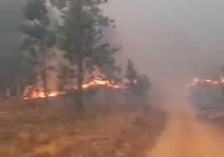 Incendio en C&oacute;rdoba: hay cuatro focos activos y el fuego ya alcanz&oacute; varias casas