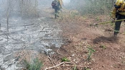 Intenso trabajo de Ambiente en los incendios forestales de Ledesma y Santa Bárbara