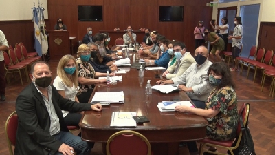 Avanza el proyecto de ley de emergencia p&uacute;blica en materia de violencia de g&eacute;nero