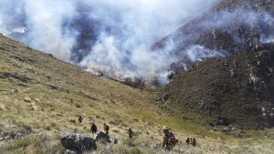 Diez provincias continúan afectadas por los incendios forestales y hay focos activos en cinc