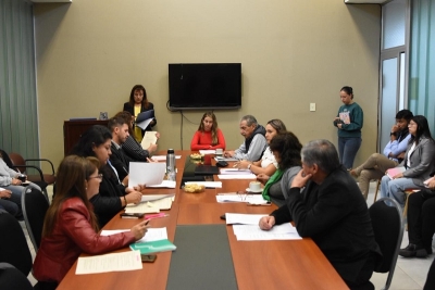 La Comisi&oacute;n de Asuntos Sociales inici&oacute; el an&aacute;lisis del Proyecto de Ley de Juventudes