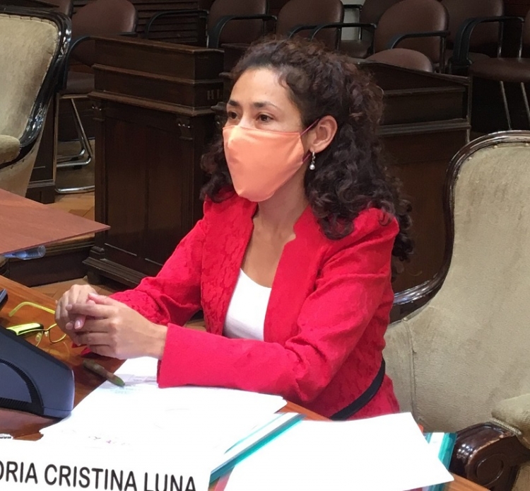 Diputada Luna Murillo “no aportan nada solo buscan sumarle preocupacion a los empleados publicos”