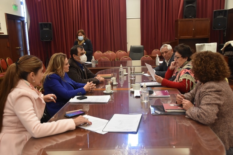 La legislatura de Jujuy continúa trabajando en la creación de la universidad pública provincial del trabajo