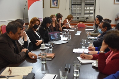 La legislatura trabaja en la adhesi&oacute;n a la ley de oncopediatr&iacute;a