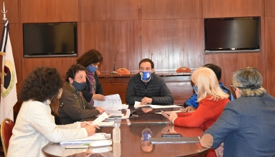 Se encuentra en an&aacute;lisis el proyecto de suspensi&oacute;n de las ejecuciones contra el estado