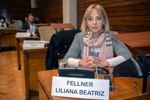Liliana Fellner celebró la decisión del gobierno nacional de garantizar el acceso al aceite de cannabis medicinal