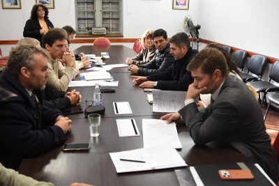Las comisiones de Asuntos Institucionales y Legislaci&oacute;n General trabajaron sobre distintos proyectos legislativos en com&uacute;n