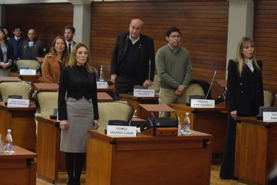 Tom&oacute; estado parlamentario el Proyecto de Adhesi&oacute;n al R&eacute;gimen de Incentivo para las Grandes Inversiones (RIGI)