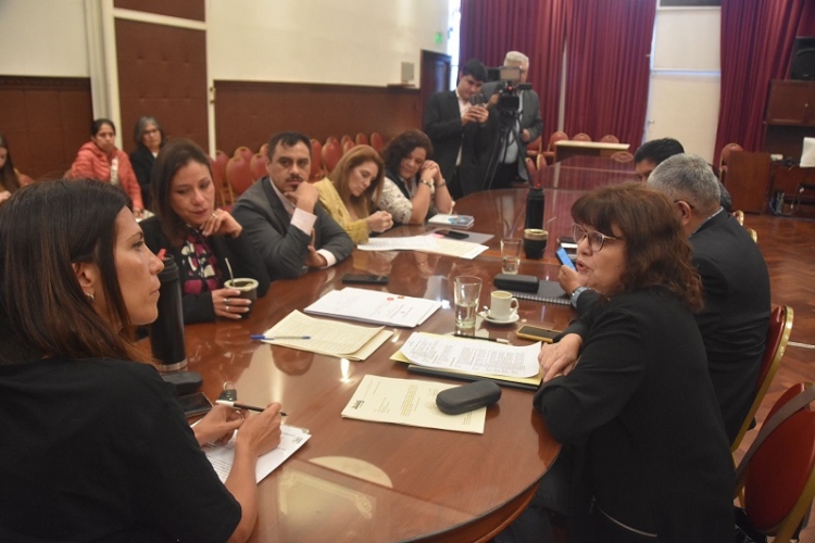 La comisi&oacute;n de Cultura y Turismo avanza en el tratamiento de proyectos para la accesibilidad y la inclusi&oacute;n