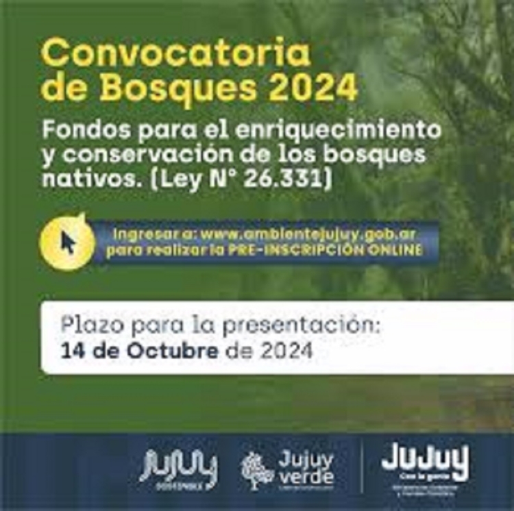 Cierra la convocatoria para los fondos de conservaci&oacute;n de bosques nativos