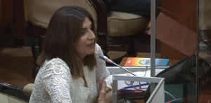 La diputada Mariela Ferreyra pido rendición de cuentas al consejo provincial de la mujer