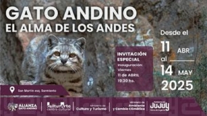 Arte, ciencia y conservaci&oacute;n: una muestra para conocer el Gato andino