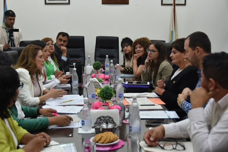 La Comisi&oacute;n de Ambiente recibi&oacute; a la ministra de Ambiente Cambio Clim&aacute;tico de Jujuy
