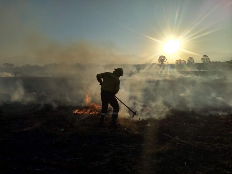 Inicia temporada alta de incendios forestales: la prevención es fundamental