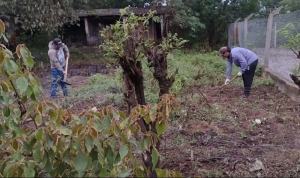 Potenciar Trabajo impulsa las Huertas Orgánicas Comunitarias en Santa Clara
