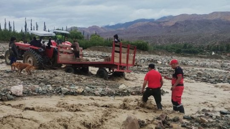 COE: r&aacute;pida intervenci&oacute;n de &aacute;reas de Salud y Seguridad