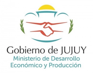 Habilitan la circulación entre Jujuy y salta para actividades esenciales