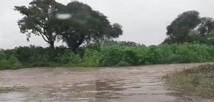 Vialidad de la Provincia asistió en rutas afectadas por las lluvias