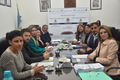 La Comisi&oacute;n de Ambiente avanza en el estudio de varios proyectos ingresados