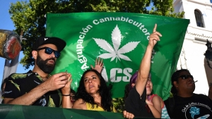 Cultivadores y activistas reclamaron la despenalización de la marihuana