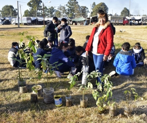 En Palpalá se mantiene la plantación de especies arbóreas junto a las instituciones educativas