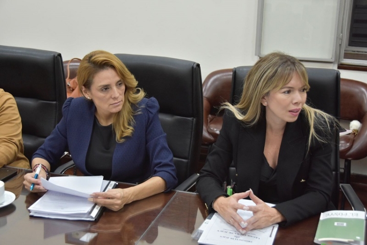 La Comisi&oacute;n de Ambiente emiti&oacute; despacho y avanza en el tratamiento de diversos proyectos