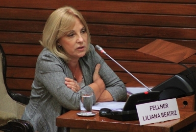 Fellner insisti&oacute; con la declaraci&oacute;n de "Emergencia en Violencia de G&eacute;nero"