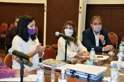 Diputados se reunieron con Alejandra Mart&iacute;nez, titular del Consejo Provincial de la Mujer