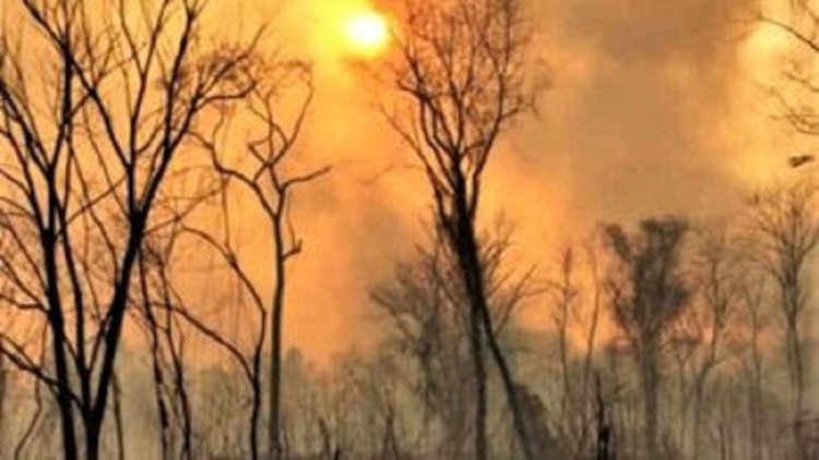 Gobierno multó a personas que causaron incendios forestales