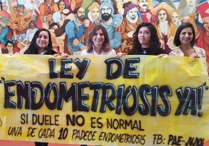 “El veto a la ley de endometriosis es una falta de respeto a la legislatura y a las pacientes con esa enfermedad”