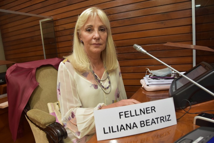 &quot;Hay que atender con urgencia el tema de la inseguridad&quot;, Dijo Liliana  Fellner