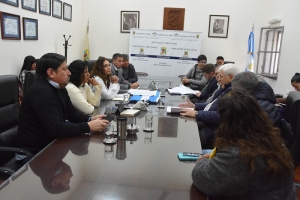 La Comisi&oacute;n de Obras y Servicios P&uacute;blicos abord&oacute; seguridad el&eacute;ctrica y construcciones sismorresistentes