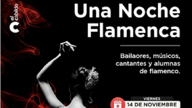 "Una Noche Flamenca" en el Cabildo Hist&oacute;rico