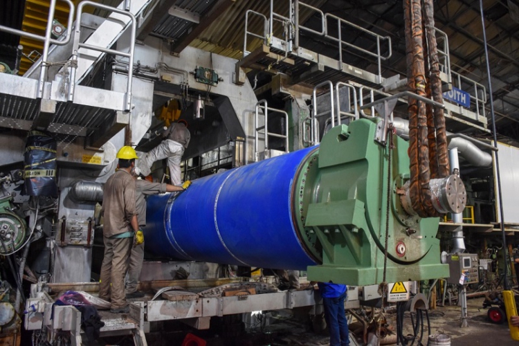 Ledesma retom&oacute; su producci&oacute;n de papel