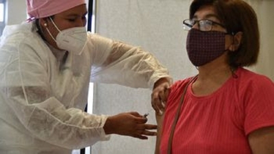 Ya se aplica la vacuna antigripal a embarazadas y mayores de 65 a&ntilde;os