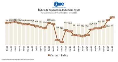 La industria pyme creci&oacute; 12,2% anual en enero