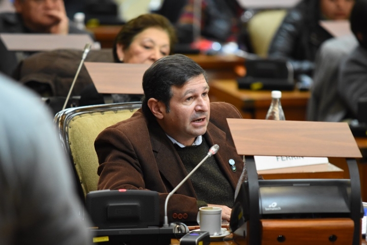 Sin acompa&ntilde;amiento libertario, la Legislatura pide a legisladores nacionales por Jujuy gestionar la eliminaci&oacute;n del IVA en la boleta de luz