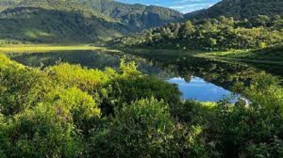 Protecci&oacute;n de bosques nativos: Jujuy es una de las provincias que mejor cumple con la ley