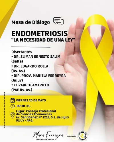 Importante jornada sobre endometriosis con la presencia de destacados profesionales