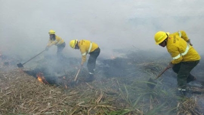 Incendios: el despliegue del Gobierno dio resultados positivos