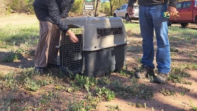 Conservar la biodiversidad es una pol&iacute;tica de Estado en Jujuy