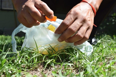 Se realiza estricta vigilancia de cuadros febriles por el dengue