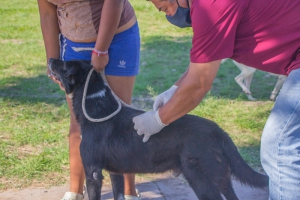 Redoblamos los esfuerzos para cuidar a las mascotas y bienestar para nuestros vecinos