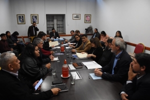 La Comisi&oacute;n de Cultura y Turismo analiz&oacute; proyectos para la protecci&oacute;n del patrimonio de Jujuy