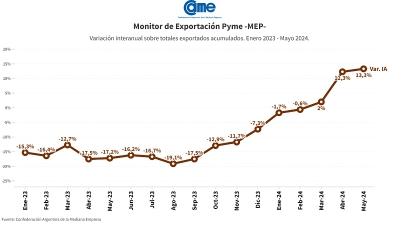 Durante los primeros cinco meses de 2024, las exportaciones de las pymes crecieron un 13,3% en d&oacute;lares y 14,7% en toneladas