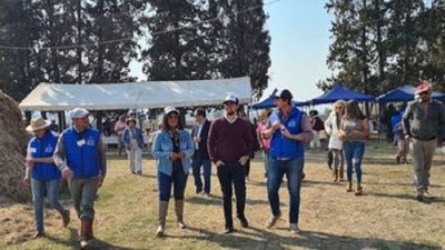 Plan Ganadero: Biotecnolog&iacute;a reproductiva en la cr&iacute;a de mulares y primer remate p&uacute;blico