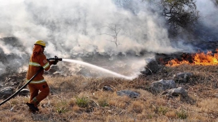 Ocho provincias registran focos activos de incendios forestales