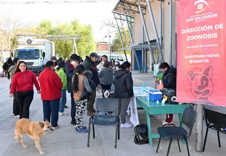 Zoonosis contin&uacute;a con el quir&oacute;fano externo y suma una jornada de Bienestar Animal